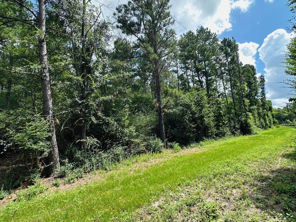 1.65 acres in Texas County gallery image 4