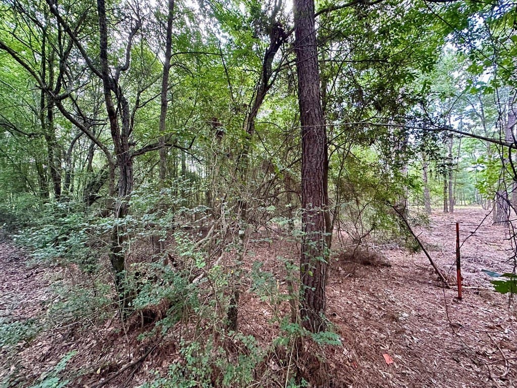 1.65 acres in Texas County featured view