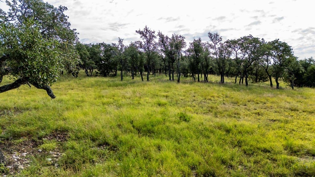 6.12 acres in Gillespie County - photo 14