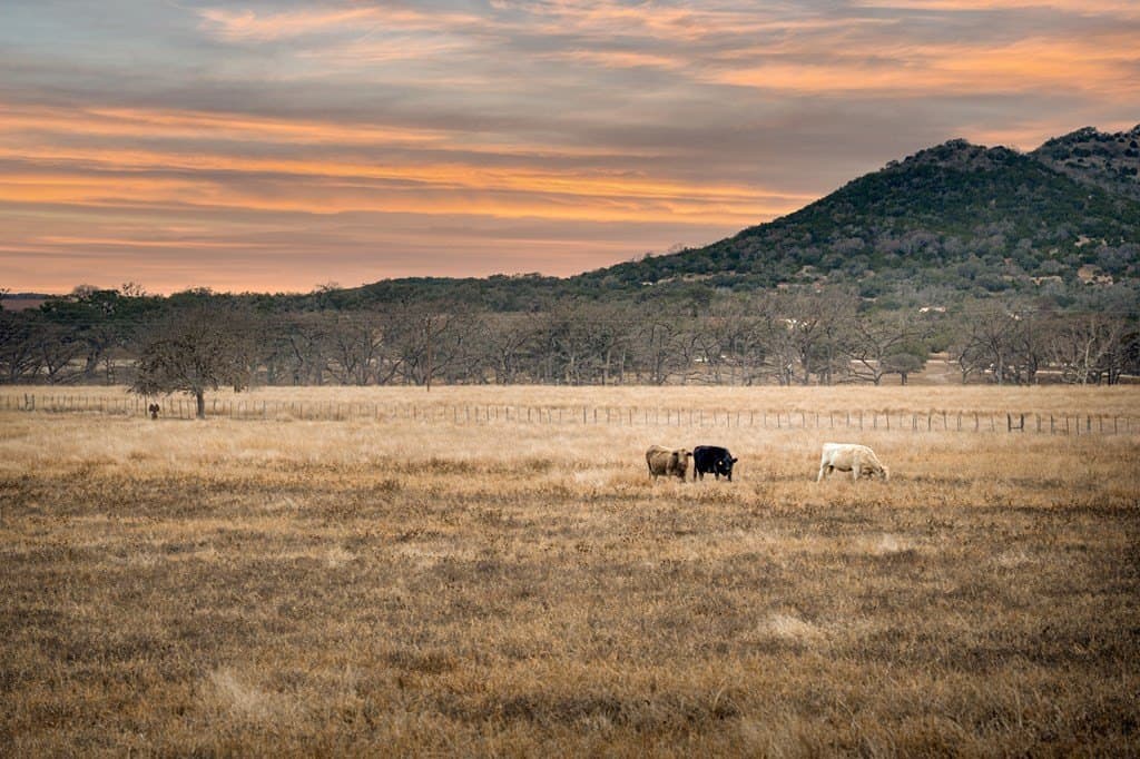 308 acres in Bandera County gallery image 4