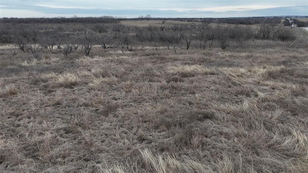 10.08 acres in Navarro County gallery image 4