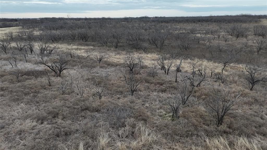 10.08 acres in Navarro County gallery image 3