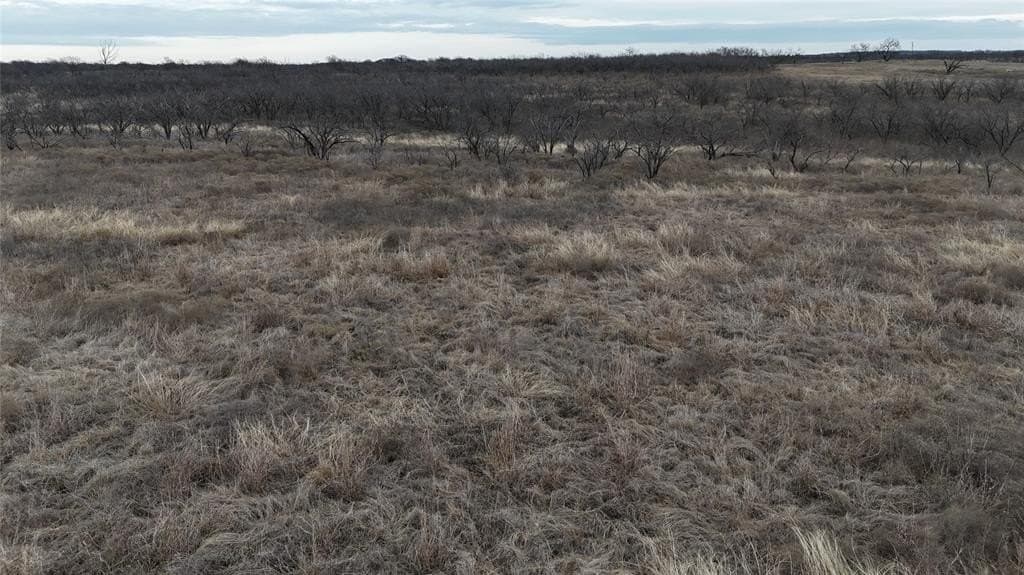 10.08 acres in Navarro County featured view