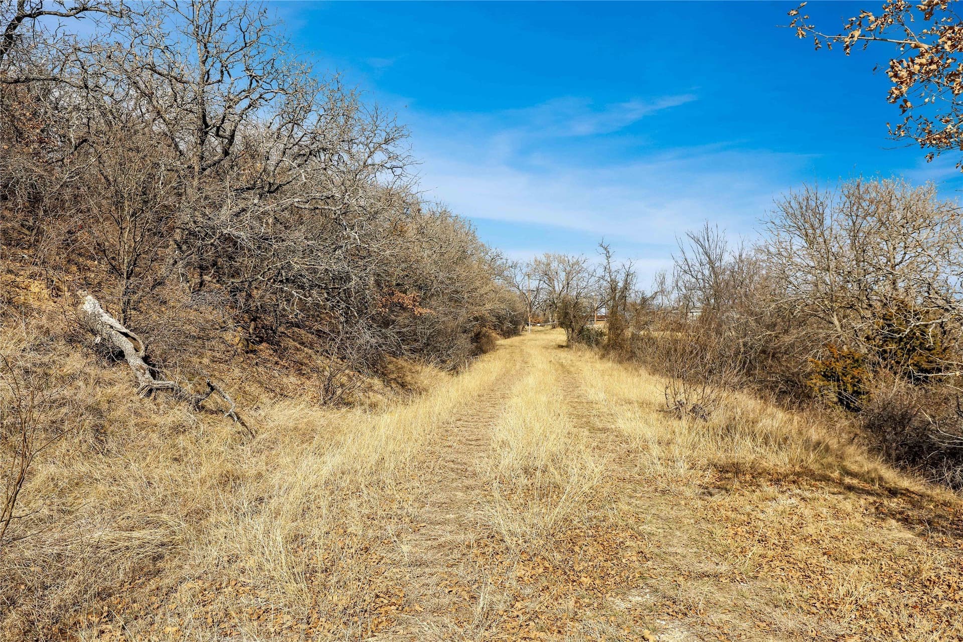 2 acres in Montague County - photo 7