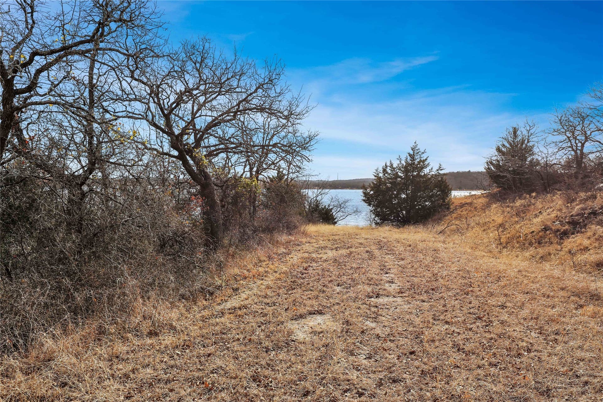 2 acres in Montague County - photo 12