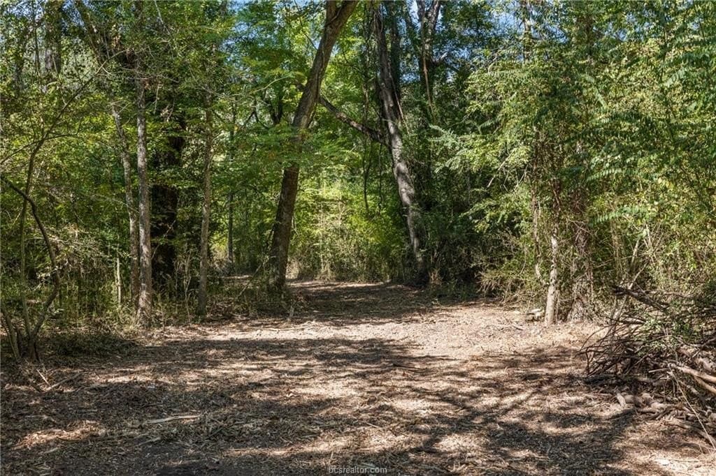 14.2 acres in Robertson County gallery image 4