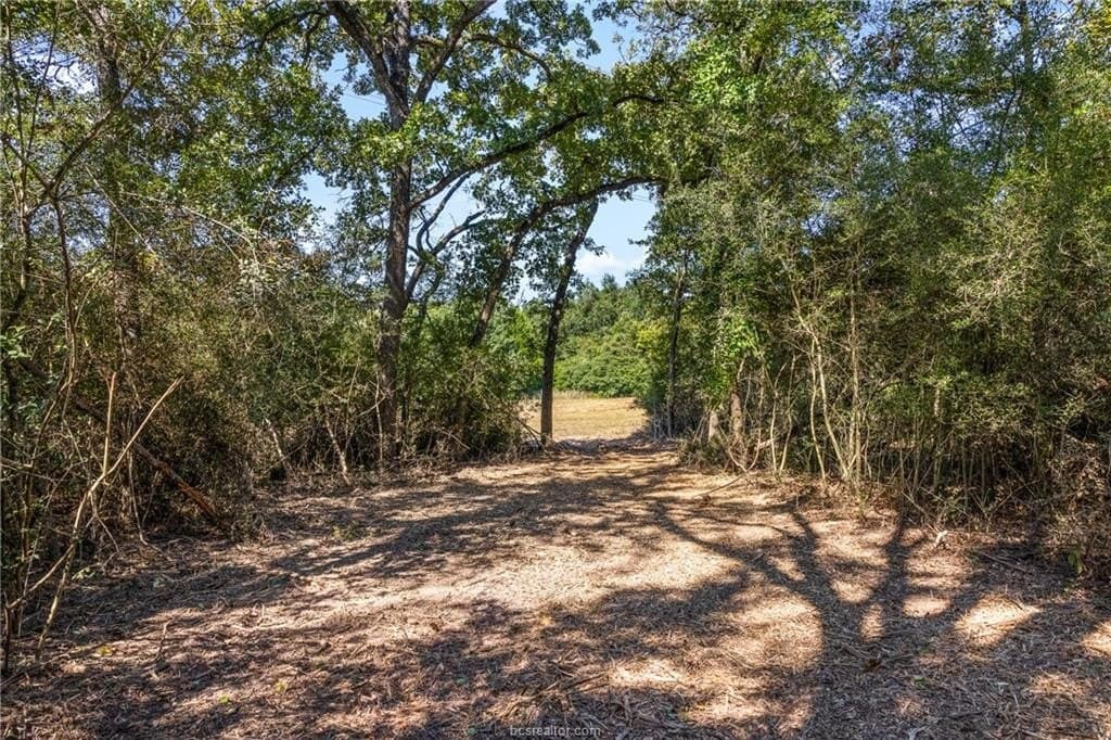14.2 acres in Robertson County featured view