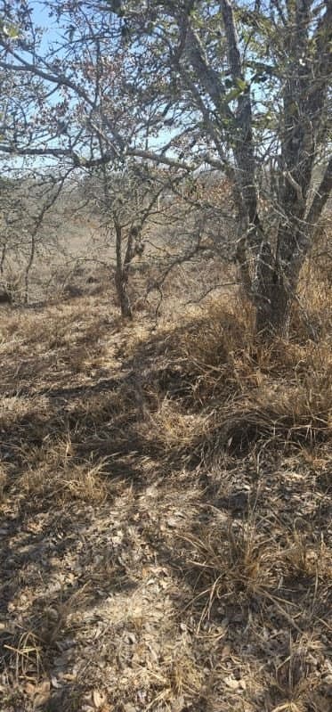 2.52 acres in Bexar County gallery image 3