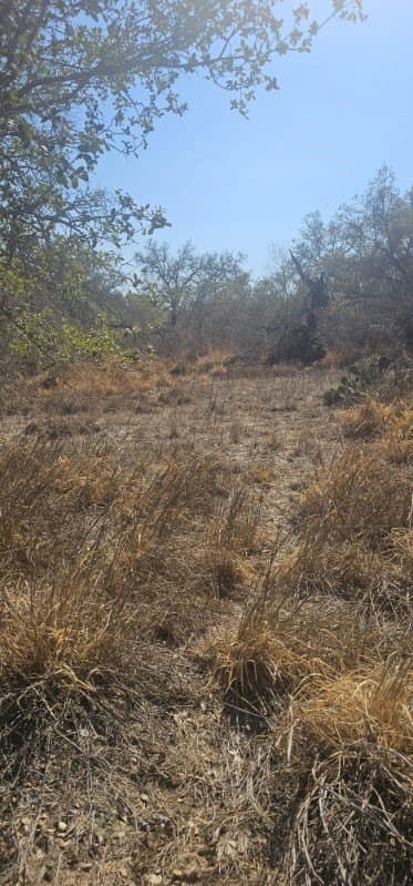 2.52 acres in Bexar County gallery image 4