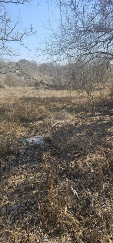 2.52 acres in Bexar County - photo 6