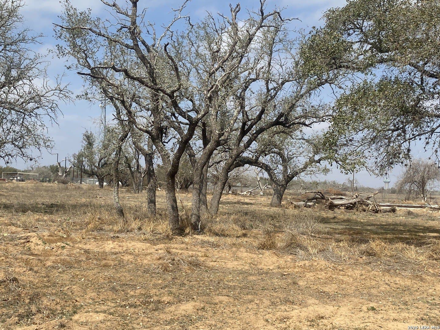 35.02 acres in Atascosa County featured view
