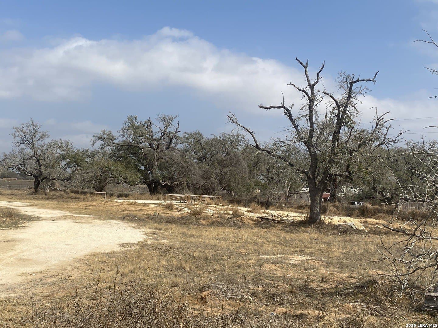 35.02 acres in Atascosa County gallery image 4