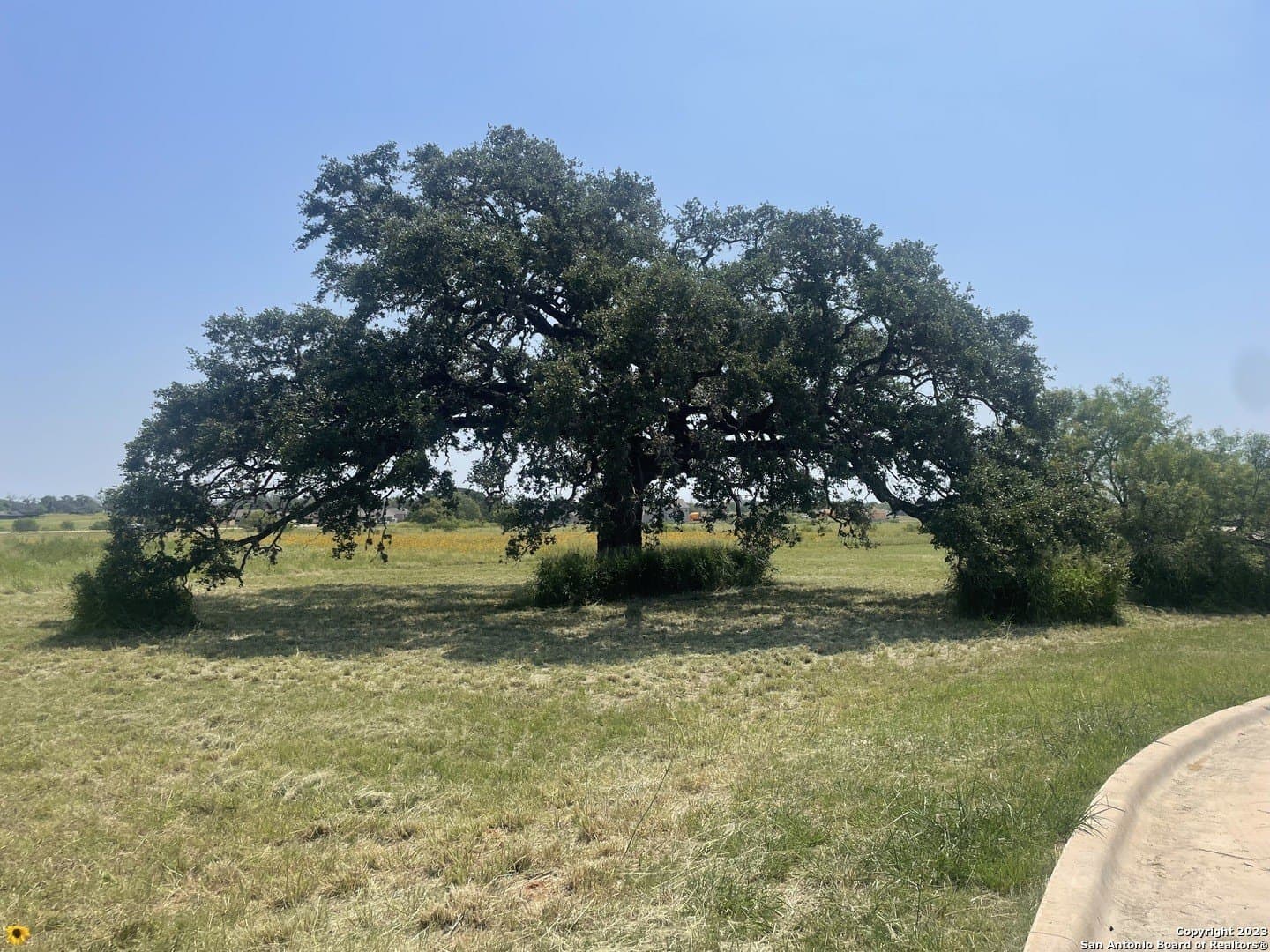 29.51 acres in Atascosa County