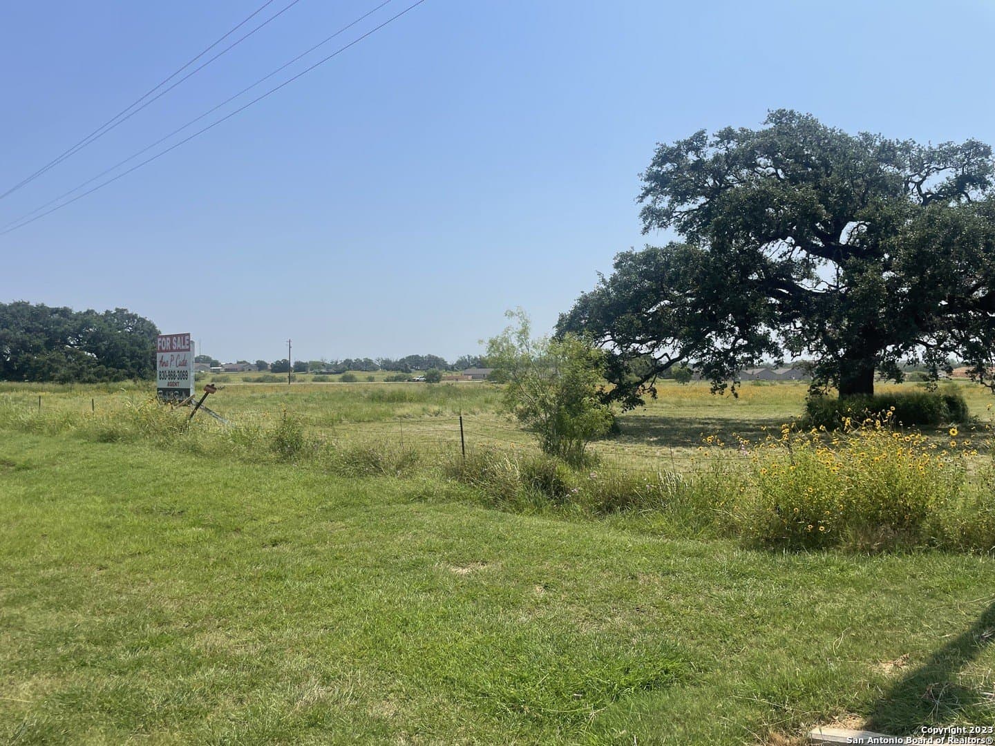 29.51 acres in Atascosa County gallery image 2