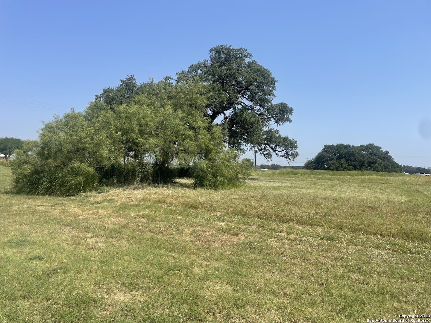 29.51 acres in Atascosa County gallery image 4
