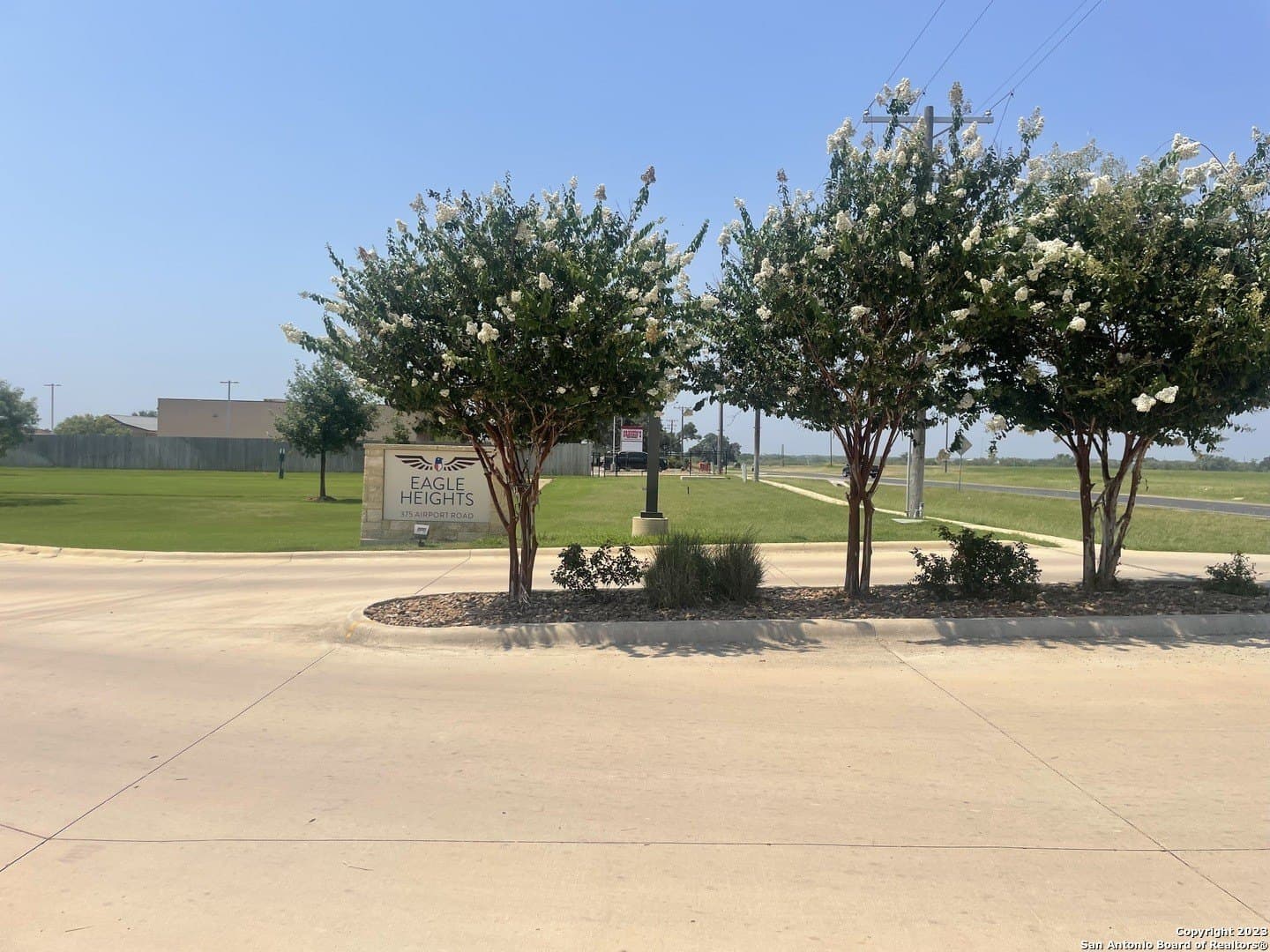29.51 acres in Atascosa County - photo 6