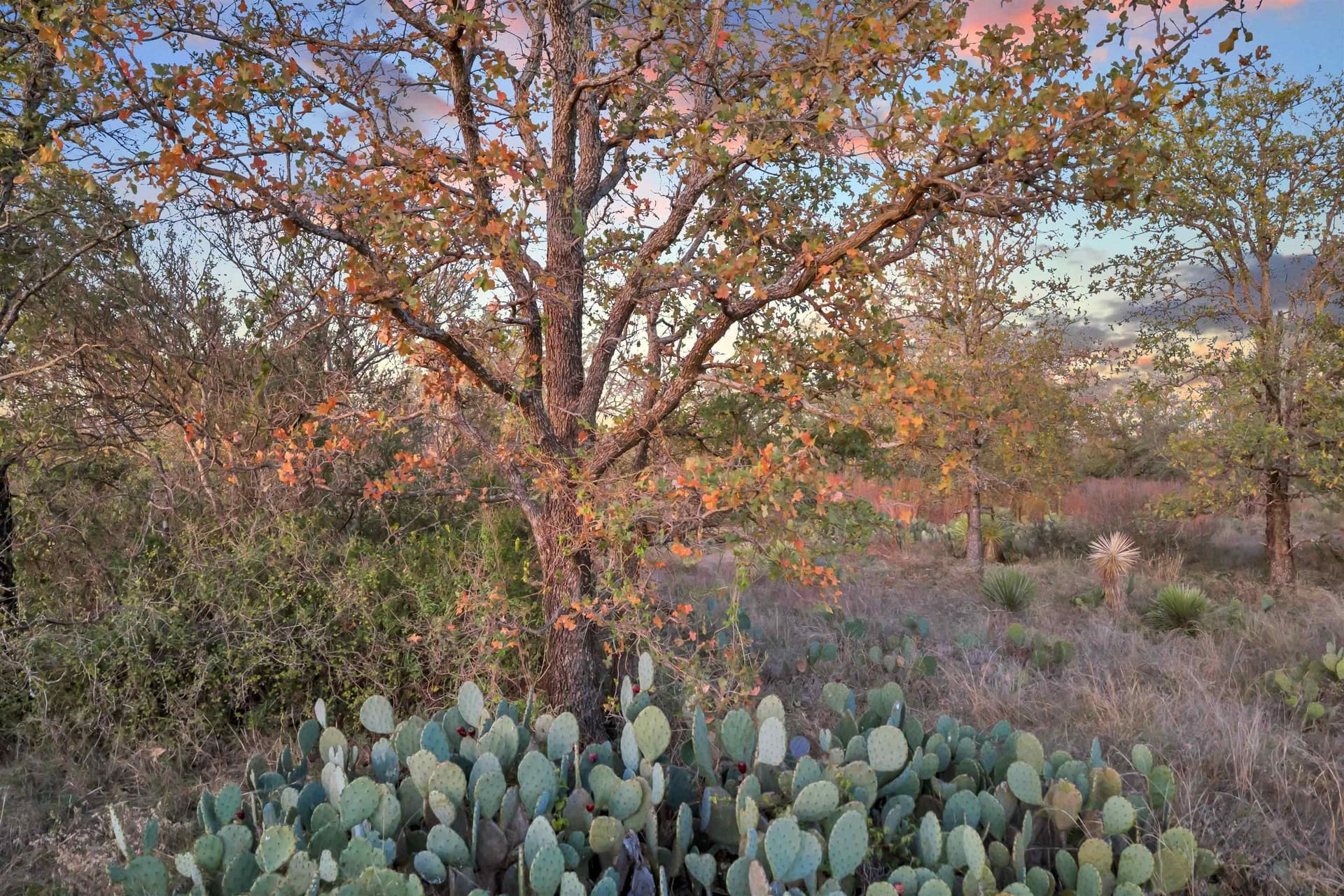 4.28 acres in Burnet County - photo 12