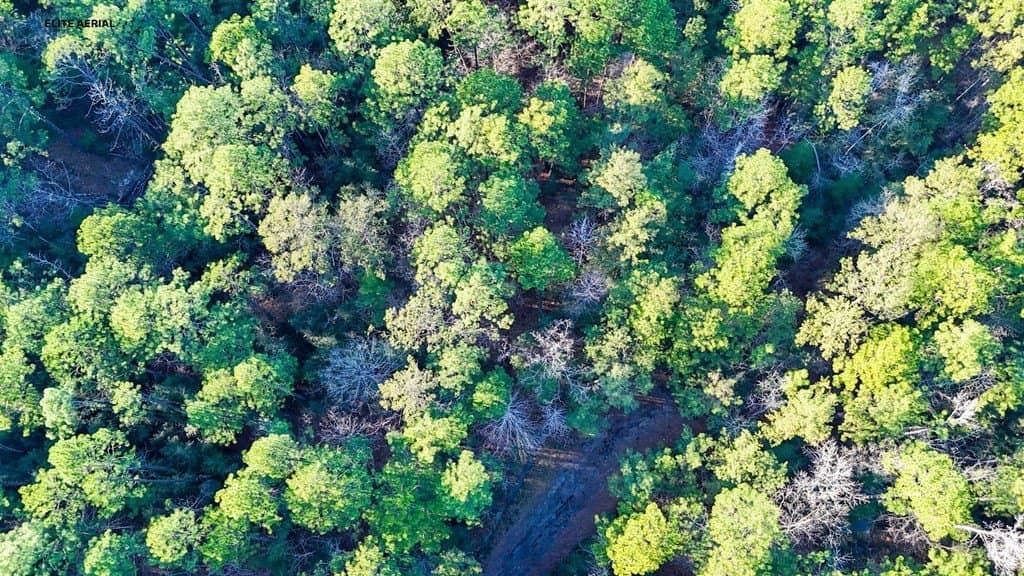 0.24 acres in Texas County gallery image 4