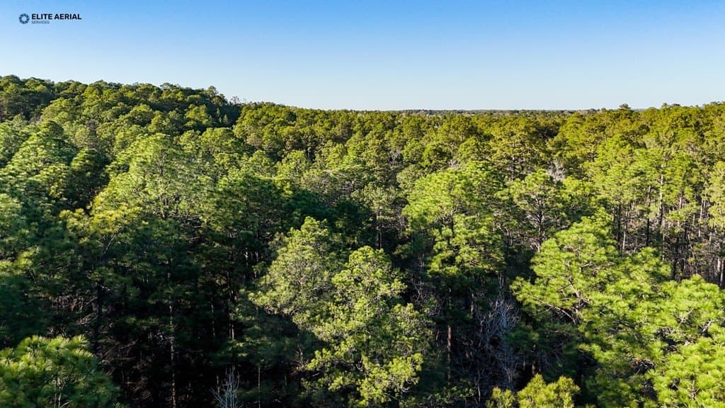 0.24 acres in Texas County gallery image 3