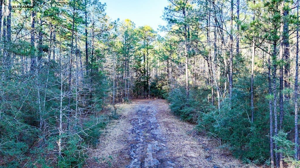 0.24 acres in Texas County gallery image 2