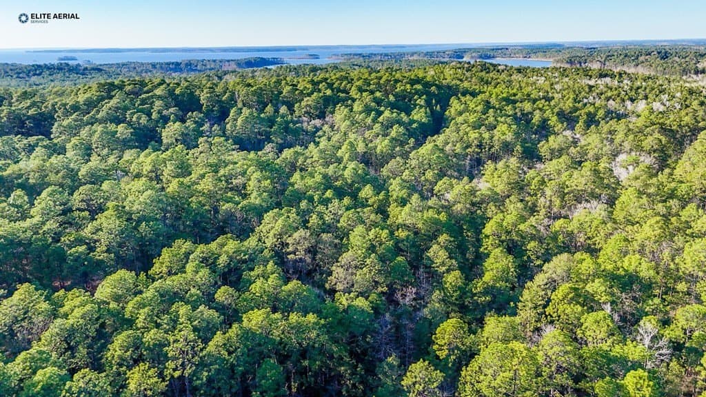 0.24 acres in Texas County featured view