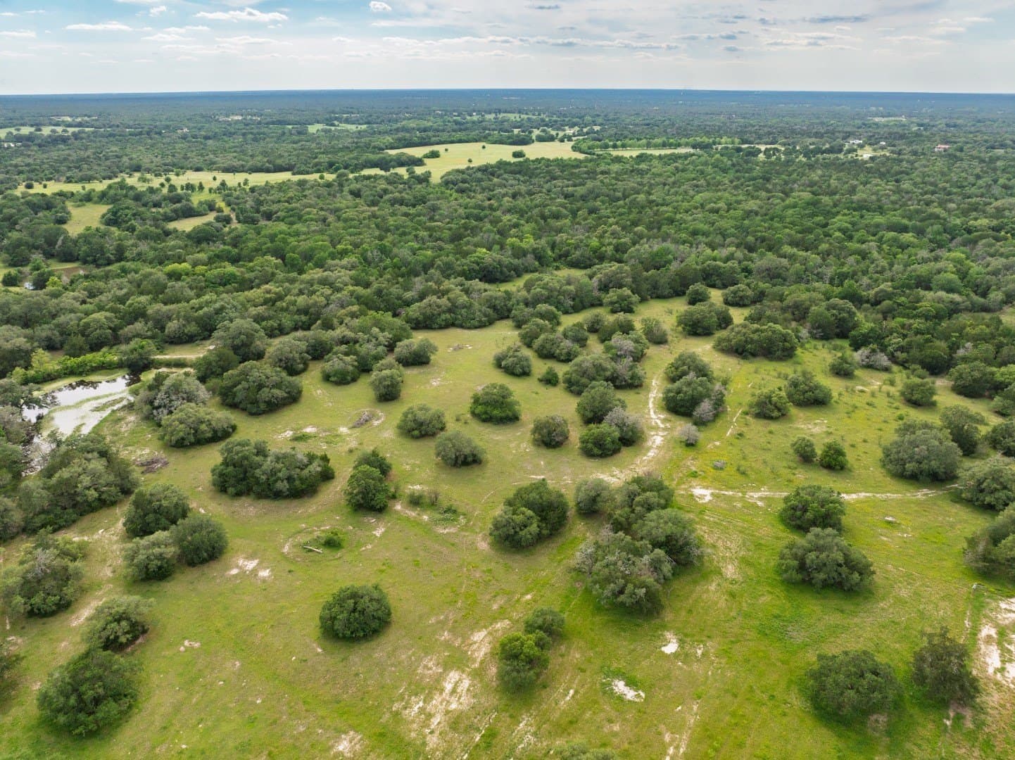 59.86 acres in Washington (TX) County gallery image 2
