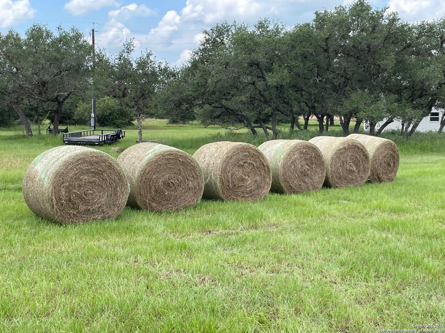 27.84 acres in De Witt County featured view