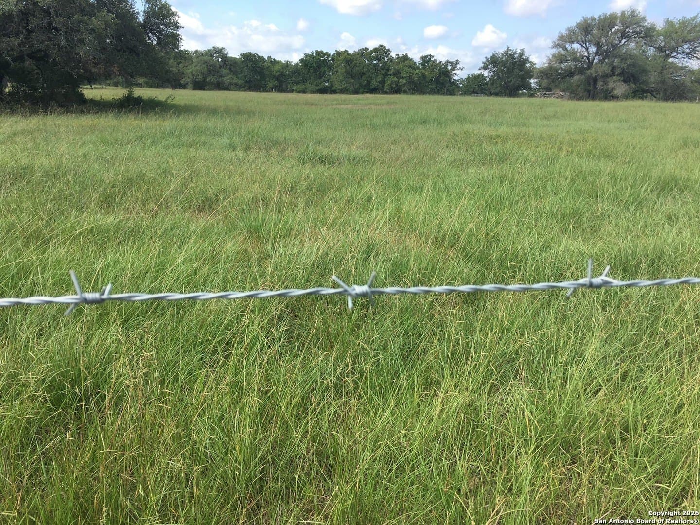 27.84 acres in De Witt County gallery image 2