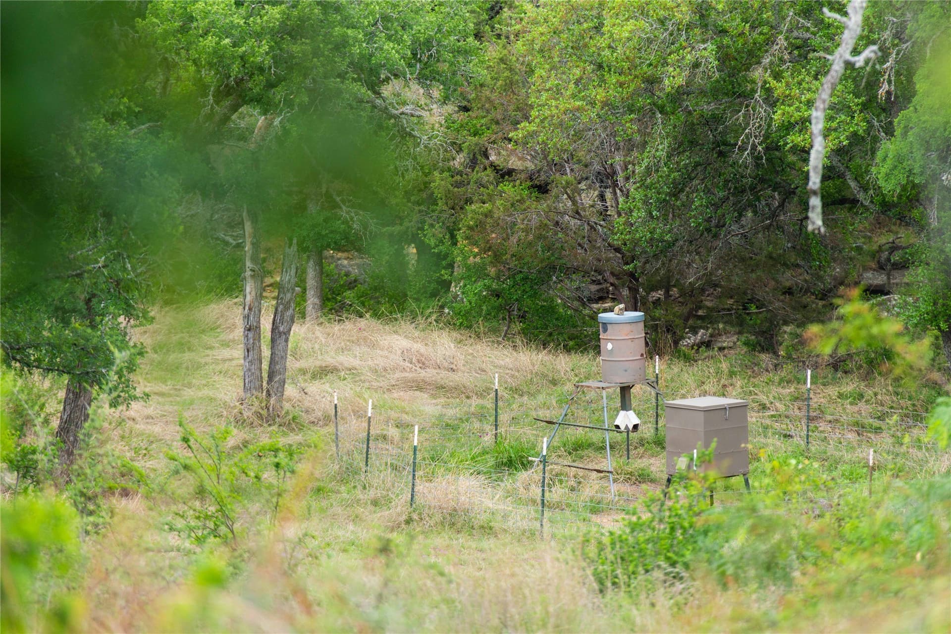 221.88 acres in Mills County - photo 31