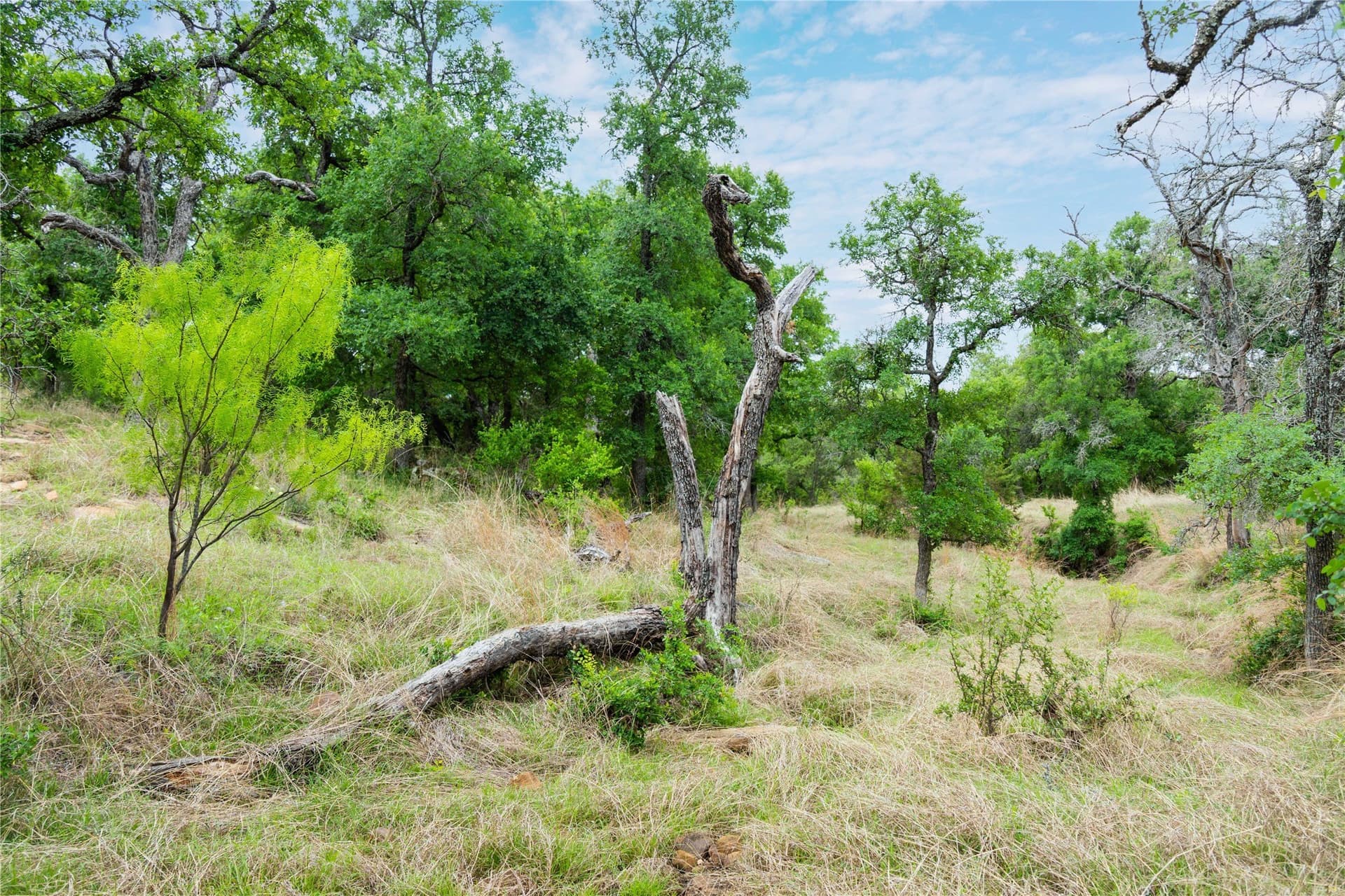 221.88 acres in Mills County - photo 32