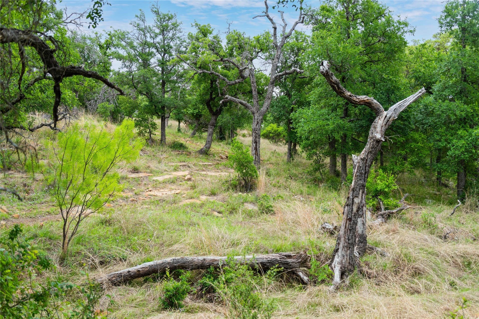 221.88 acres in Mills County - photo 39