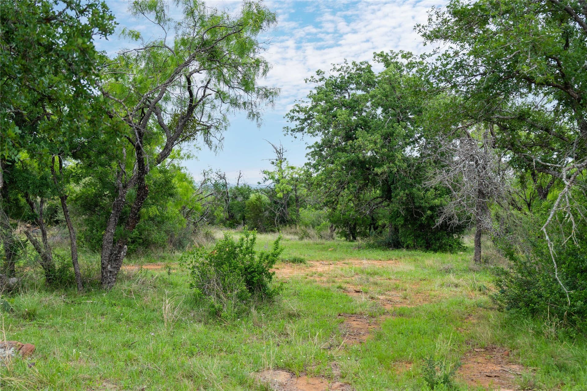 221.88 acres in Mills County - photo 33