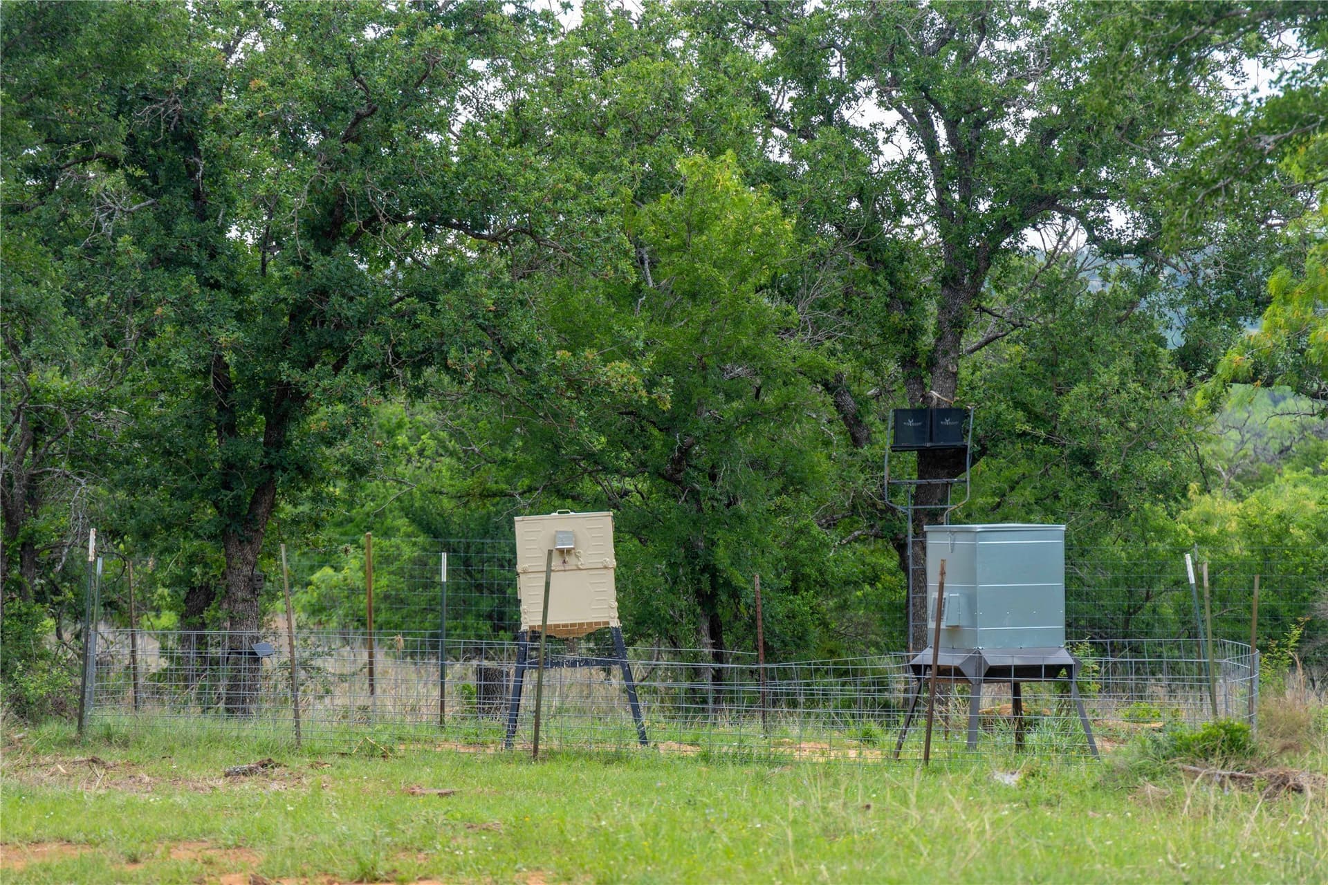 221.88 acres in Mills County - photo 37