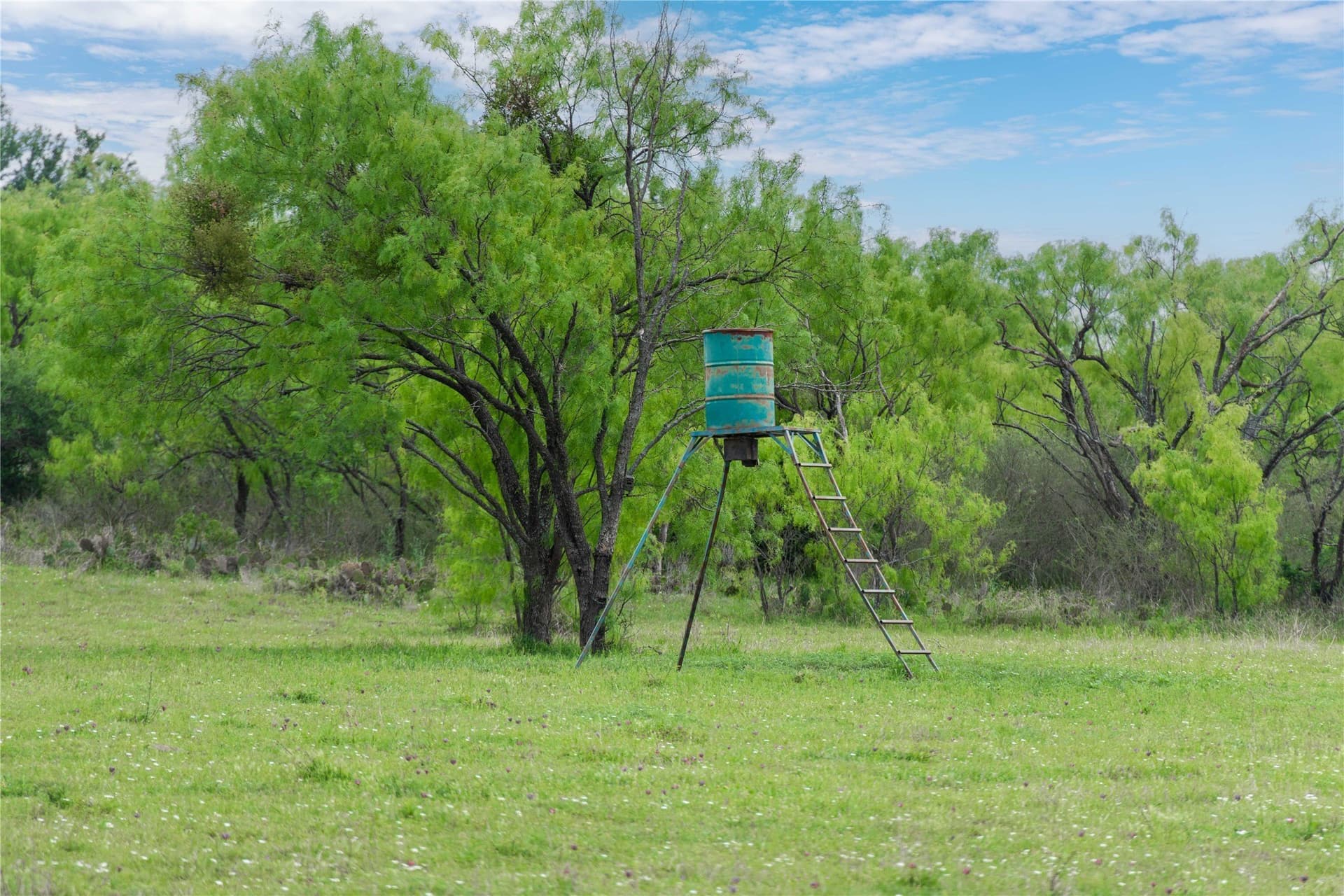 221.88 acres in Mills County - photo 34