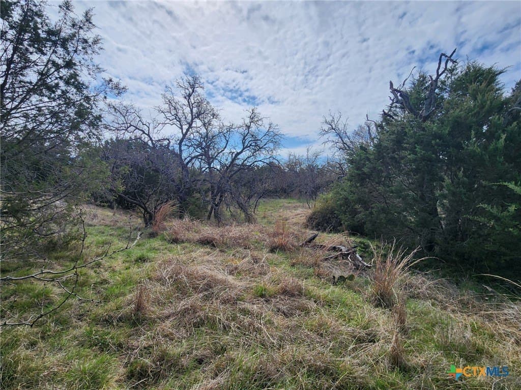 10.21 acres in Mills County - photo 5