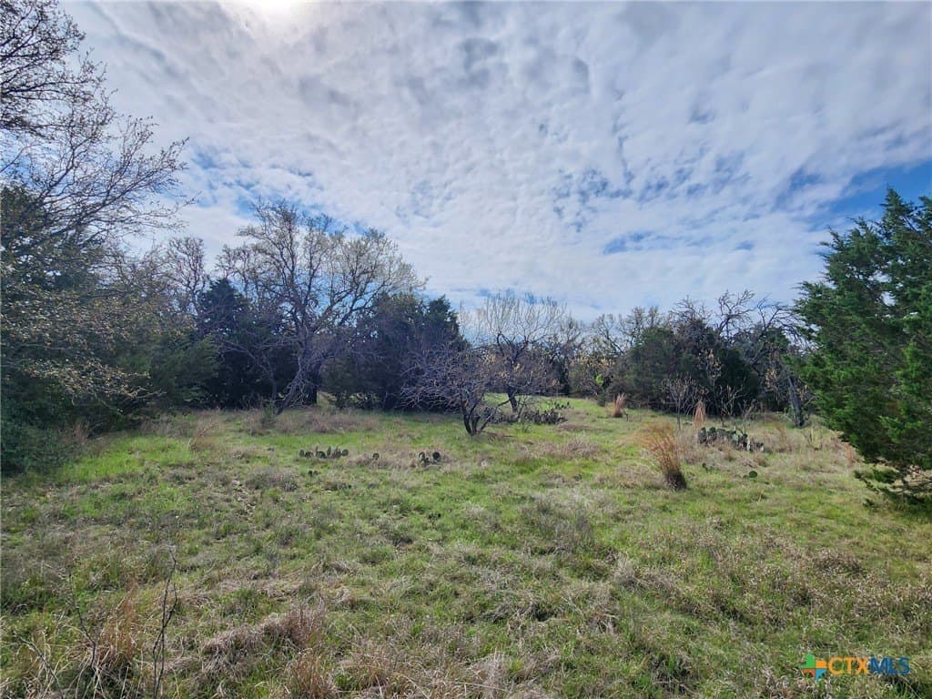 10.21 acres in Mills County - photo 4