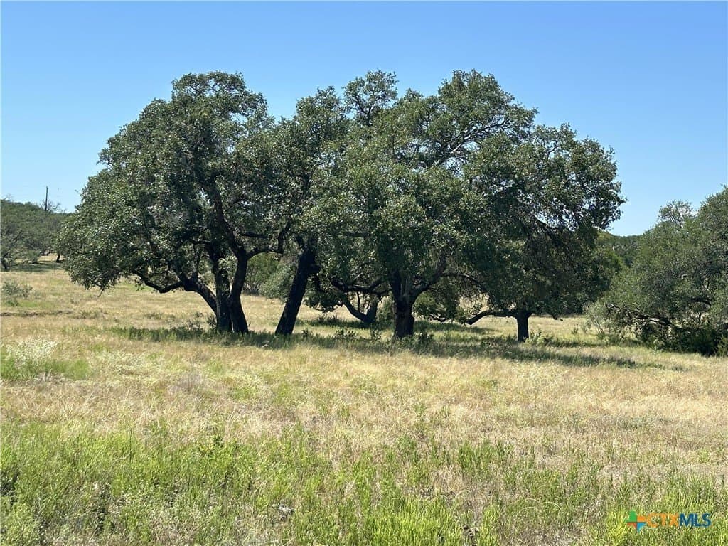 5.09 acres in Burnet County - photo 8