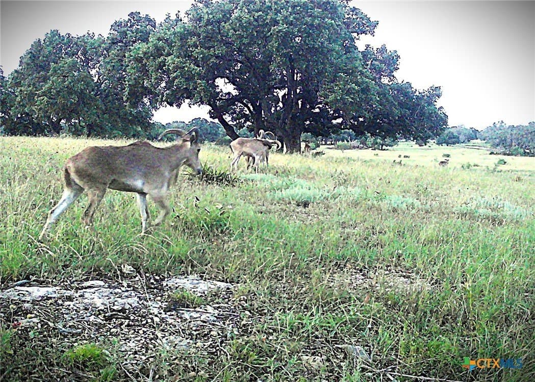 5.09 acres in Burnet County - photo 12