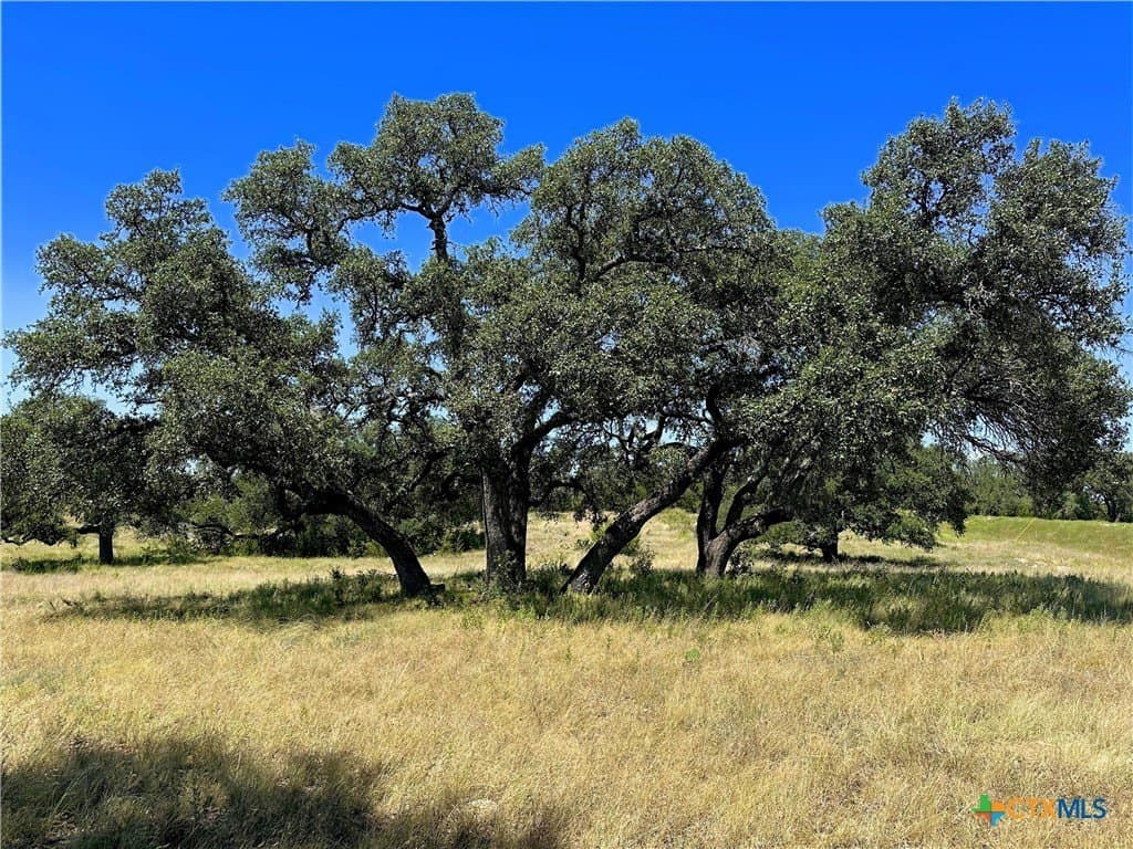 5.09 acres in Burnet County gallery image 4