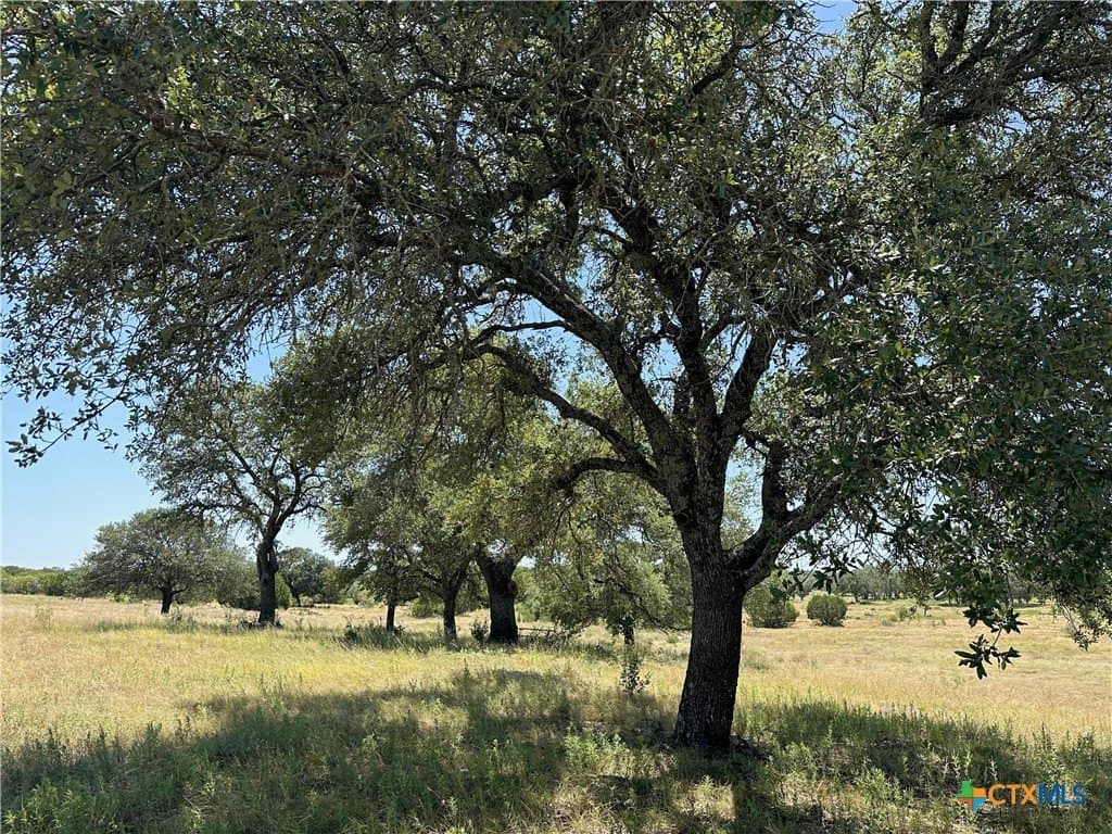5.09 acres in Burnet County gallery image 3