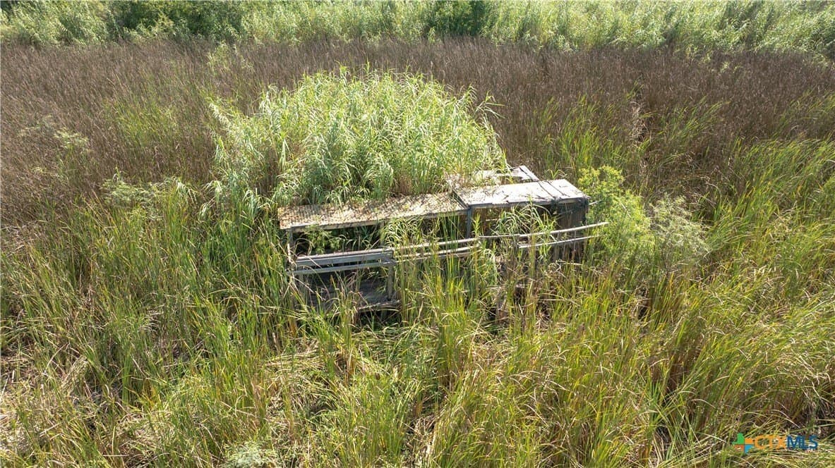 105 acres in Calhoun County - photo 7