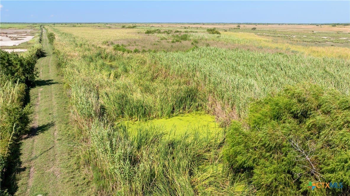 105 acres in Calhoun County - photo 17