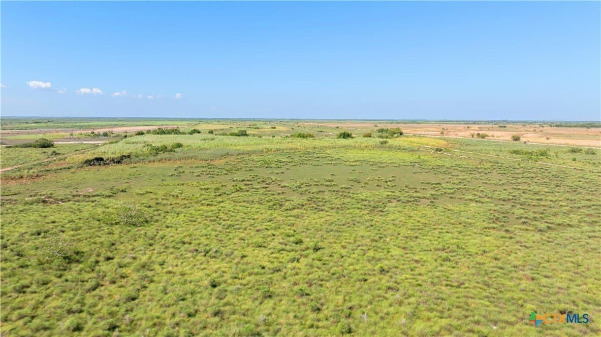 105 acres in Calhoun County gallery image 4