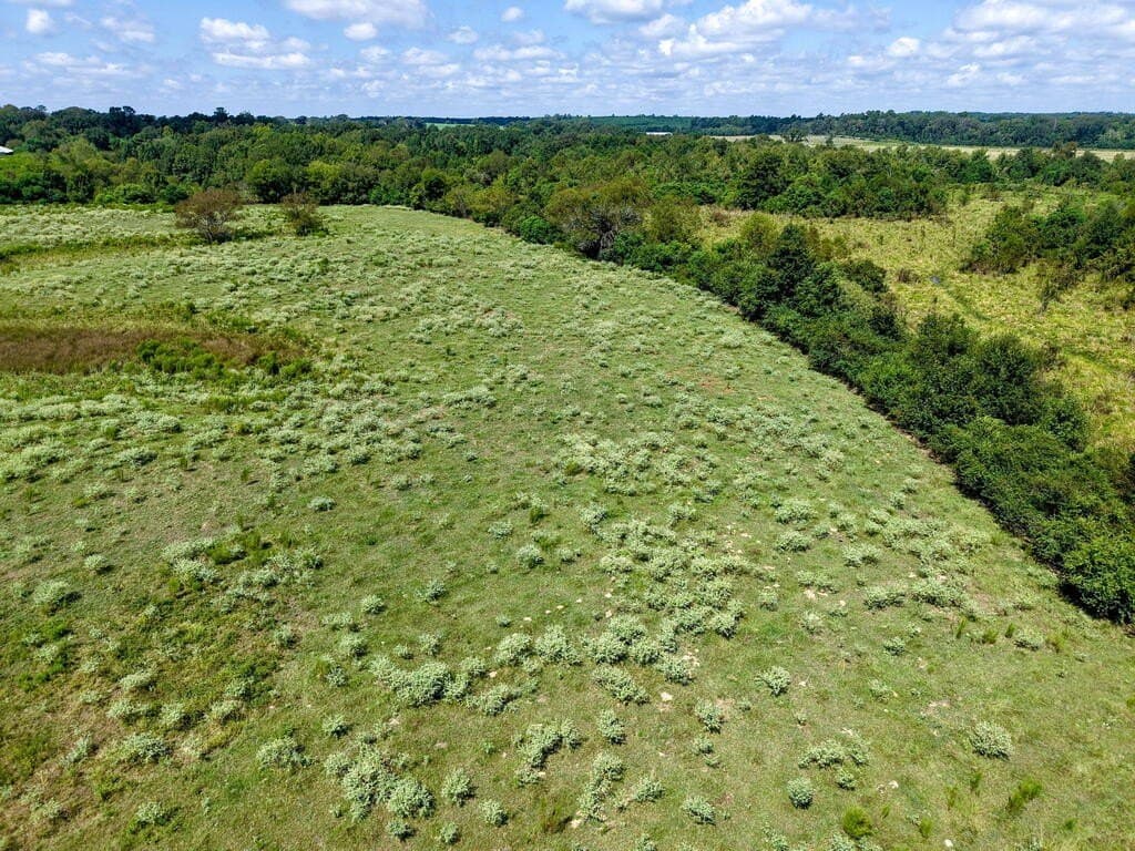 15.96 acres in Texas County - photo 4