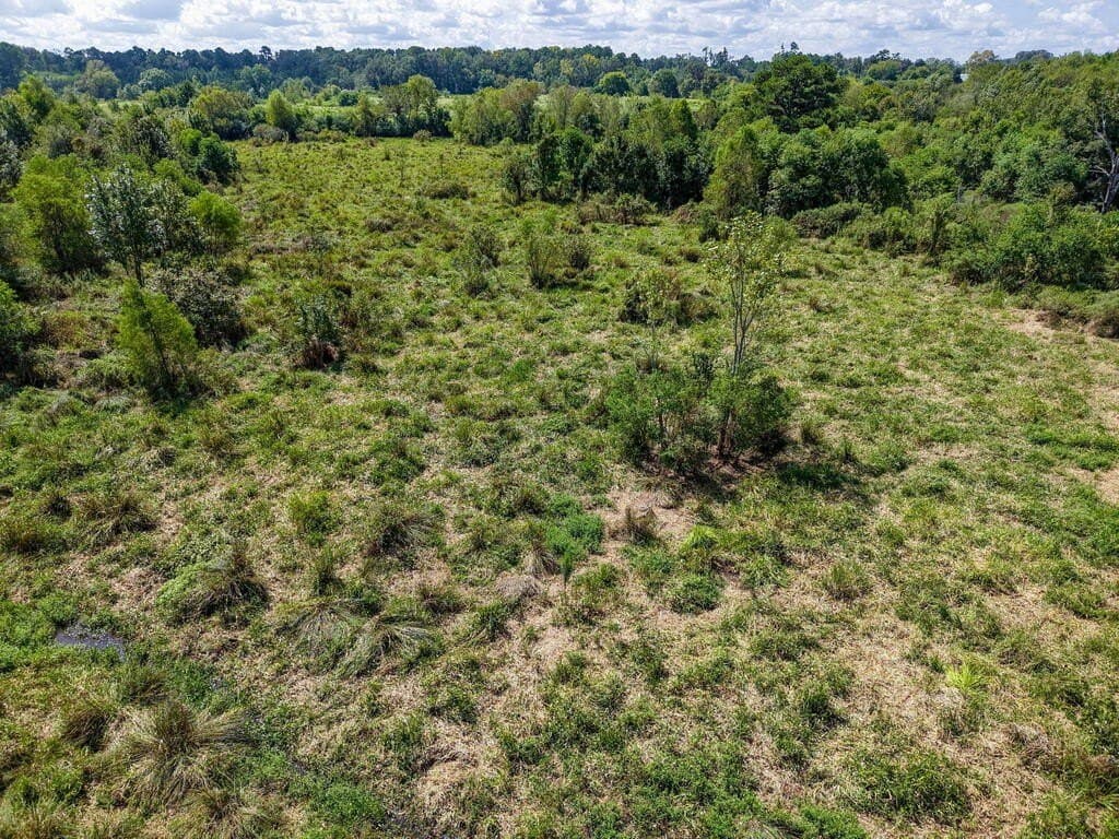 15.96 acres in Texas County - photo 5