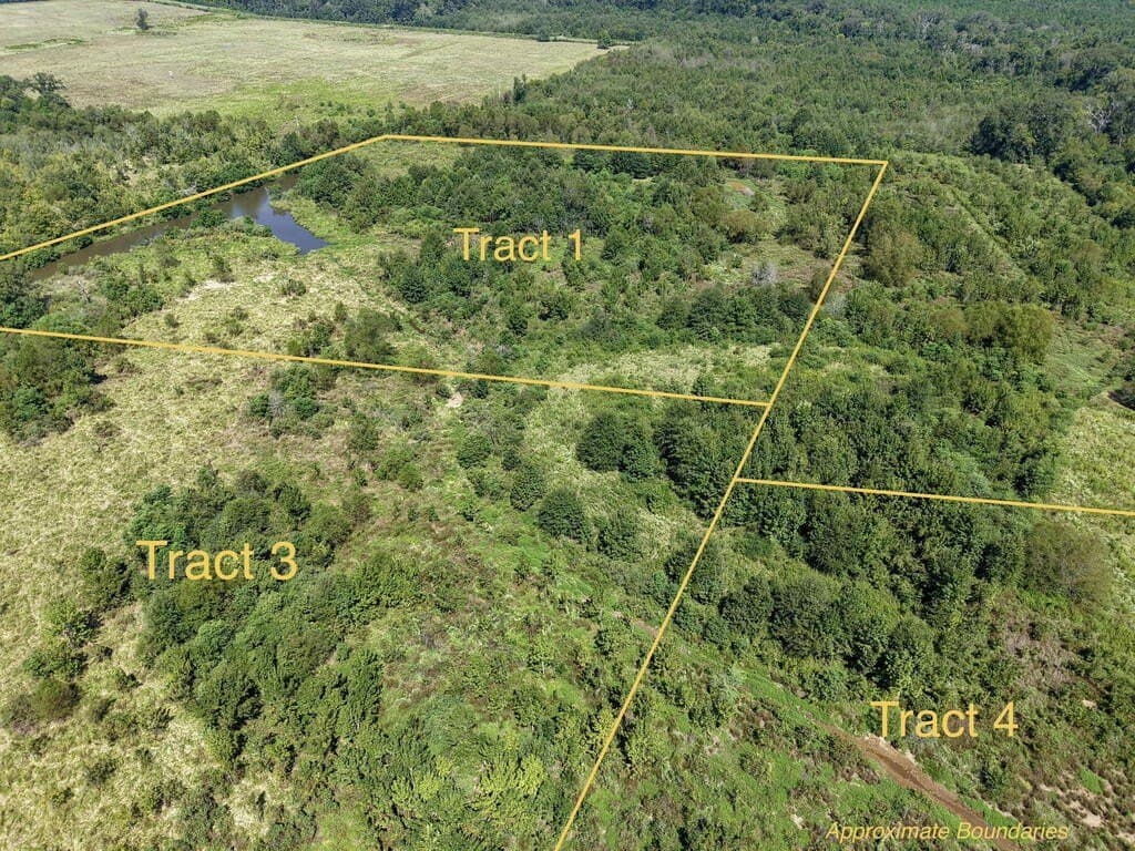 15.96 acres in Texas County - photo 7