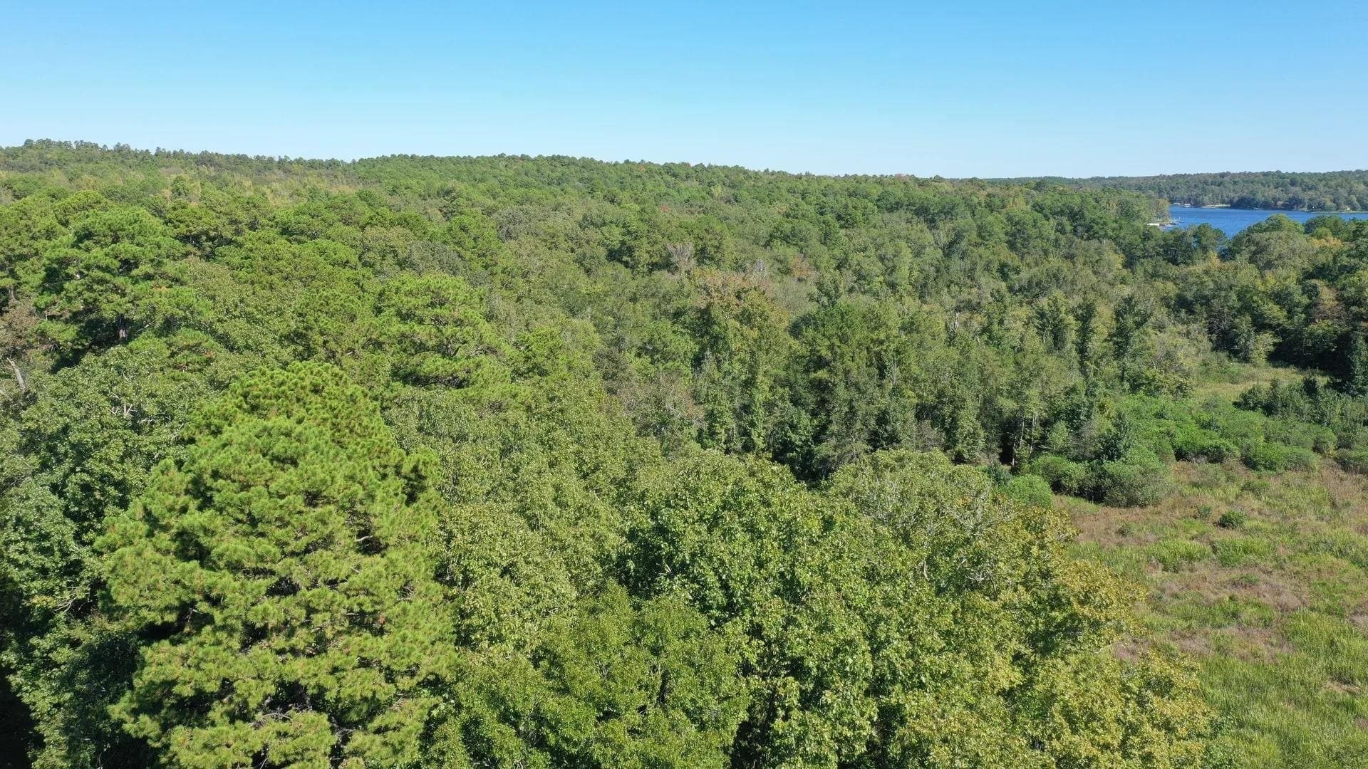 10 acres in Cass County - photo 2