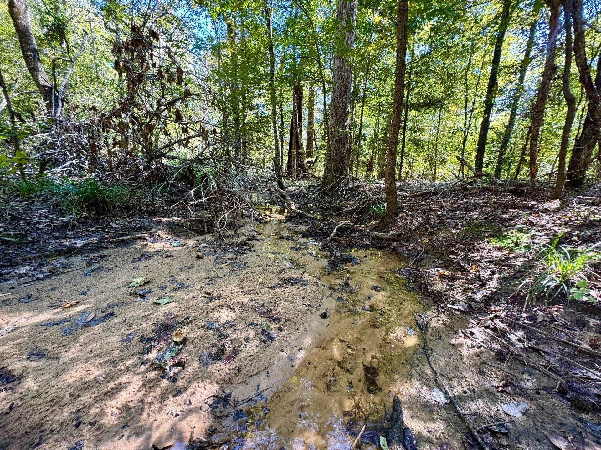 10 acres in Cass County - photo 16
