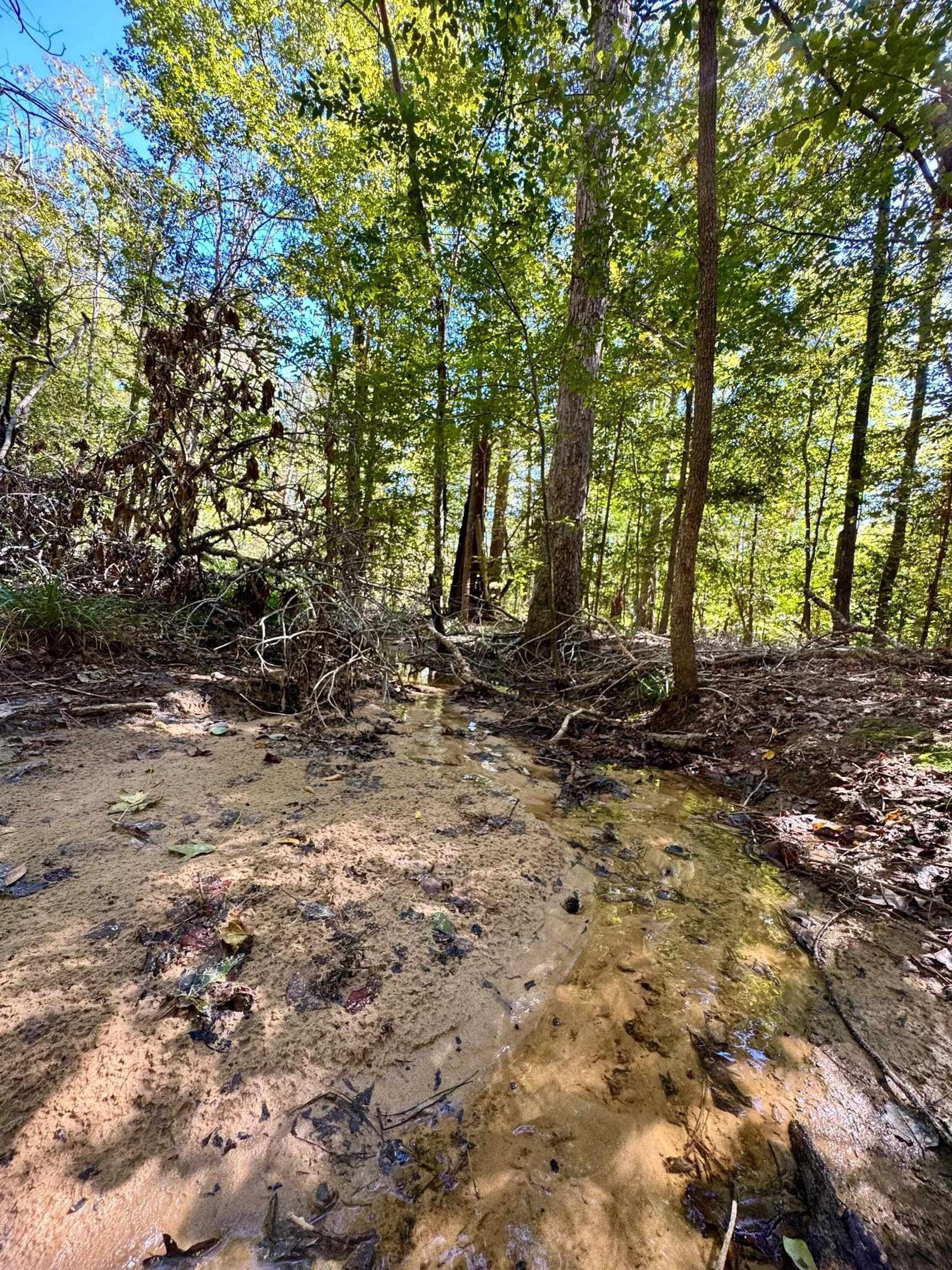 10 acres in Cass County - photo 15