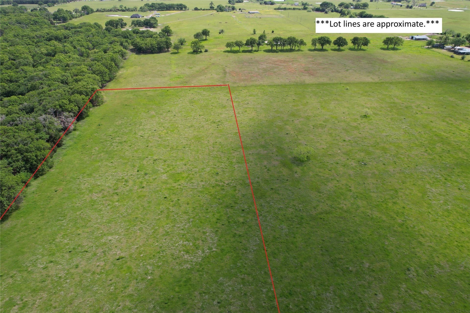 17 acres in Henderson County - photo 22